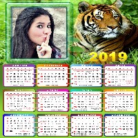 fotomontagem-calendario-2019-com-tigre