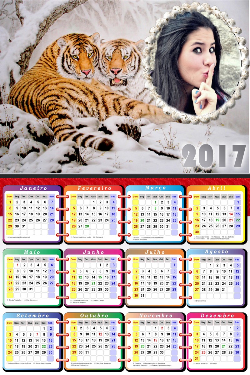 montar-foto-em-calendario-2017-com-tigres