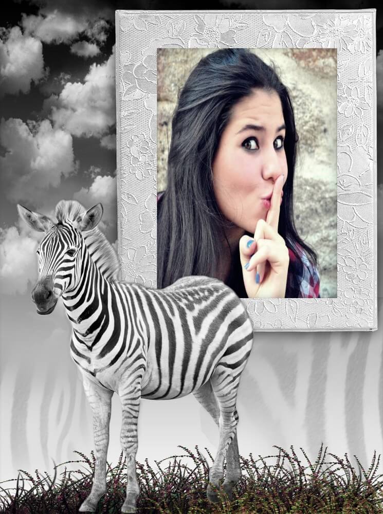 montagem-de-foto-com-zebra